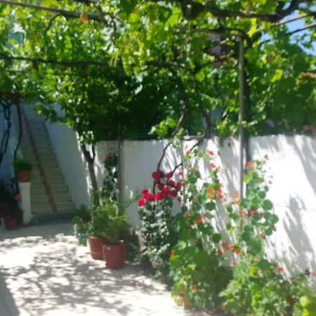 Xharshe Hostel *